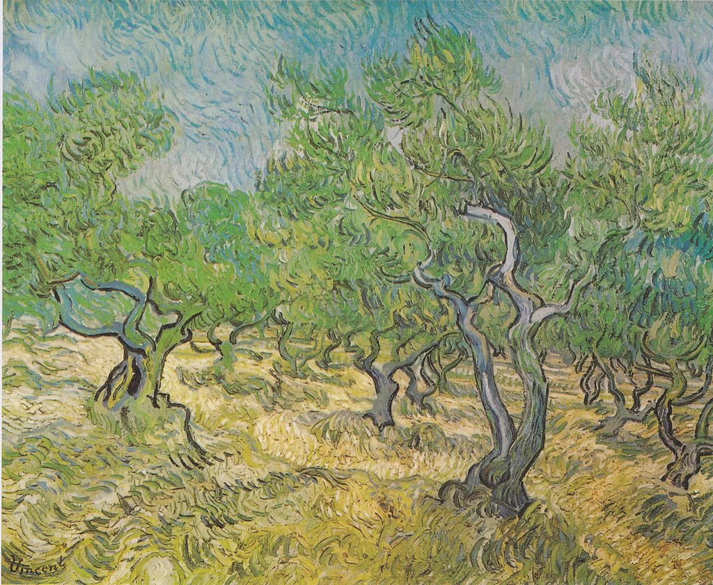  277-Vincent van Gogh-Uliveto - Kröller-Müller Museum, Otterlo 